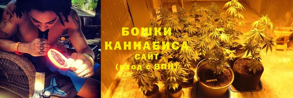 spice Алзамай