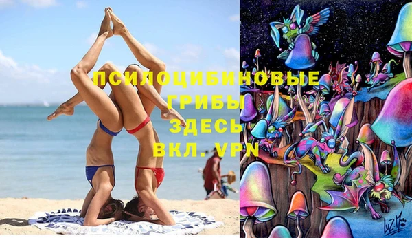 экстази Алексин